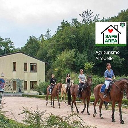 Agriturismo Altobello Verona Ngoại thất bức ảnh