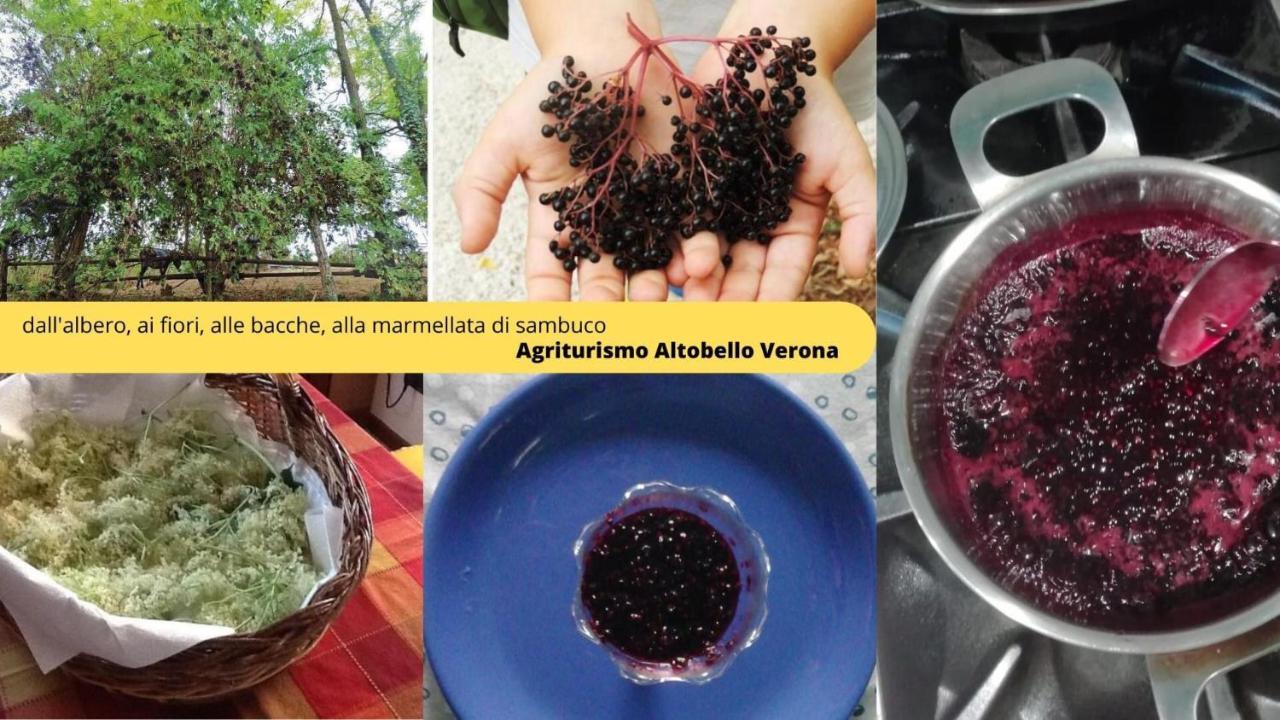 Agriturismo Altobello Verona Ngoại thất bức ảnh
