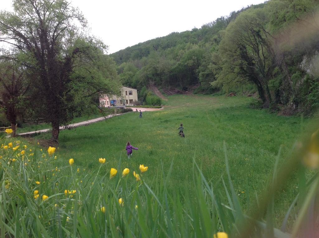 Agriturismo Altobello Verona Ngoại thất bức ảnh