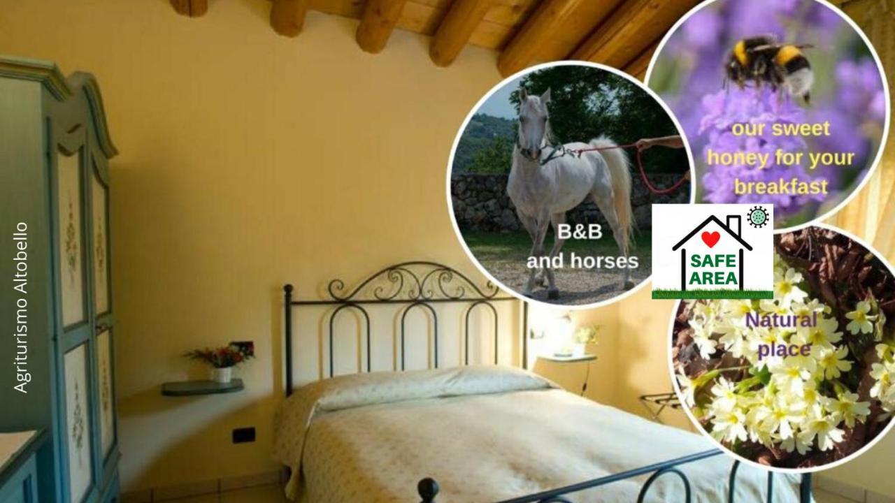 Agriturismo Altobello Verona Ngoại thất bức ảnh